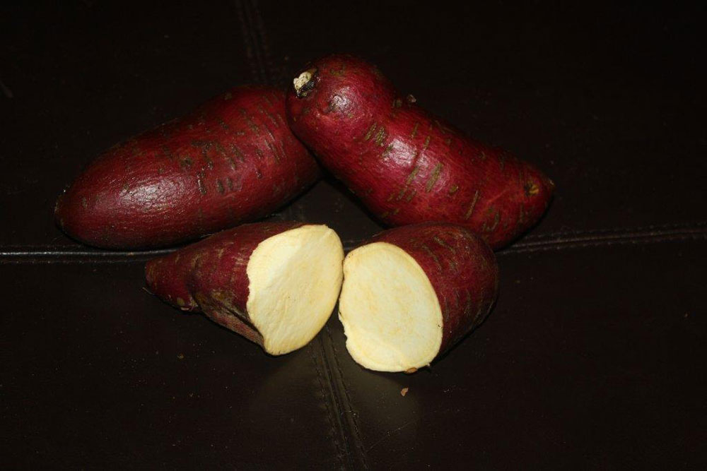 https://www.triplejproduce.com/images/gallery/organic/murasaki-sweet-potato.jpg